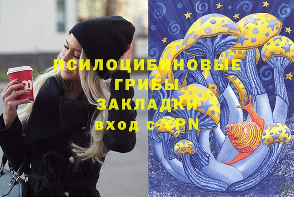 спиды Гусиноозёрск