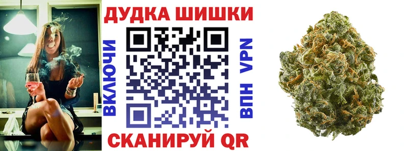 Купить где  Кировград  Бошки марихуана план 
